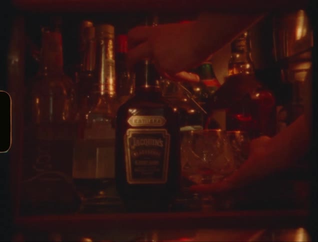 A person opens a liquor cabinet and removes a bottle of alcohol and a cup