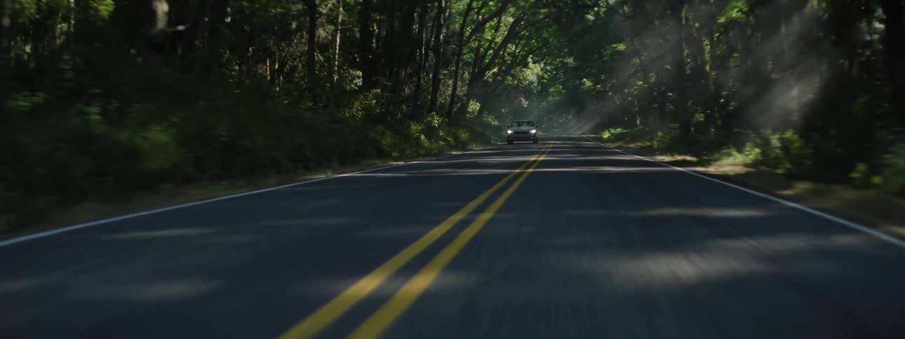 A car speeding down a deserted forest road on a sunny day