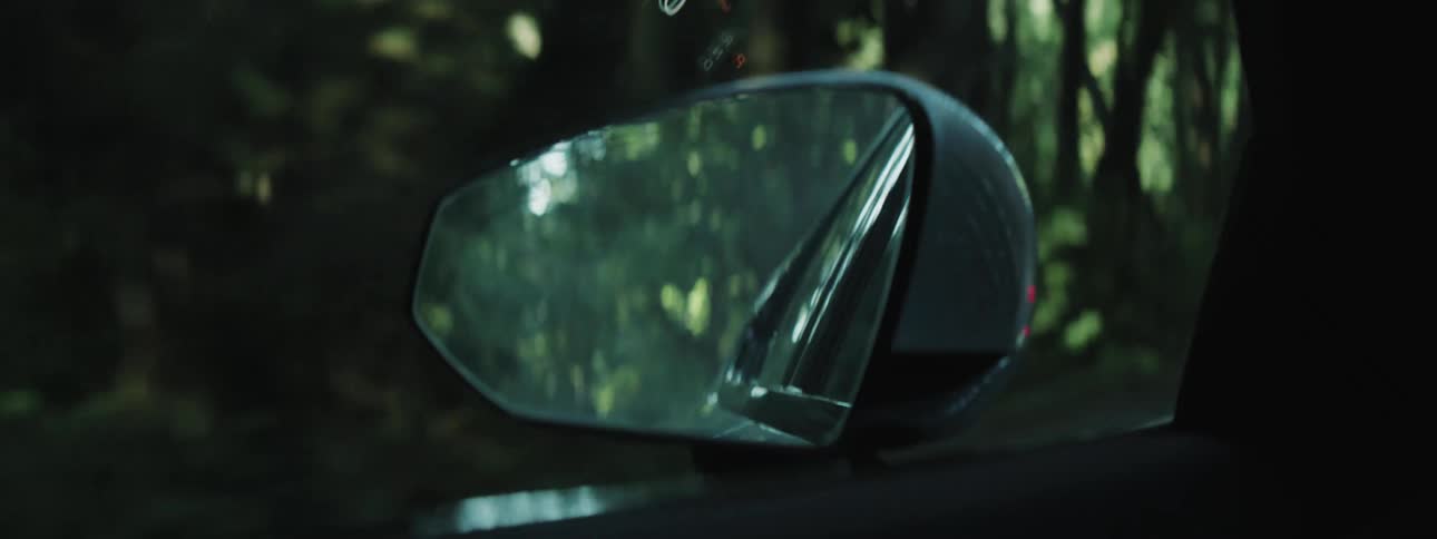 Trees surrounding a road through the woods pass in the sideview mirror