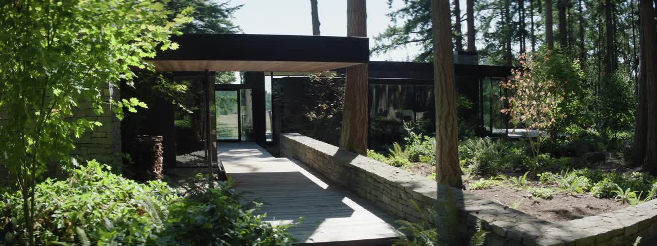A modern and luxurious house in the middle of the forest