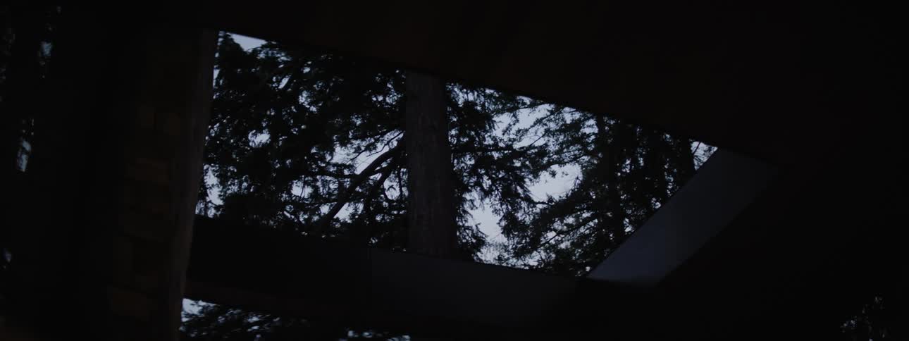 Silhouette of a forest is seen through dark frame against the twilight sky