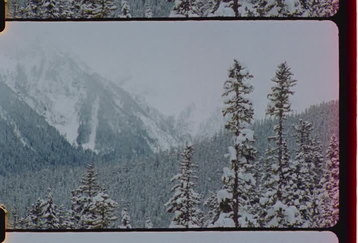Landscape of snowy forest and distant mountain ridge