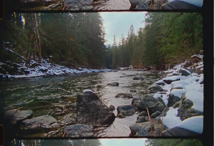 A river flows through a forest filled with tall trees during winter
