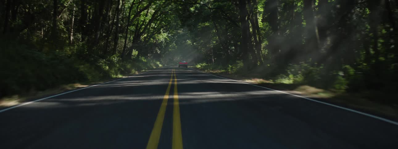 Back dashcam point of view of sleek sedan passing in the opposite lane on a dimly lit road through the forest