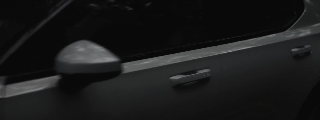 White car driving on highway in the forest