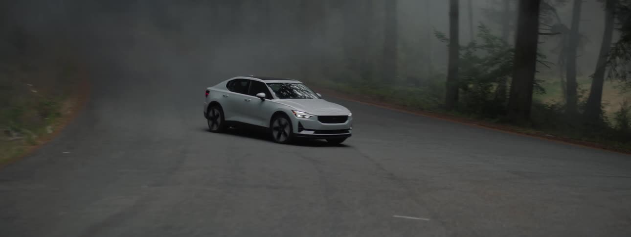 Vehicle moving on the road with trees on both sides at dawn