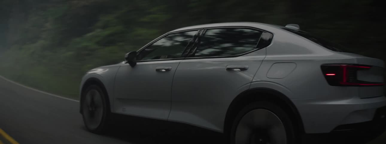 A car driving on a foggy road surrounded by trees