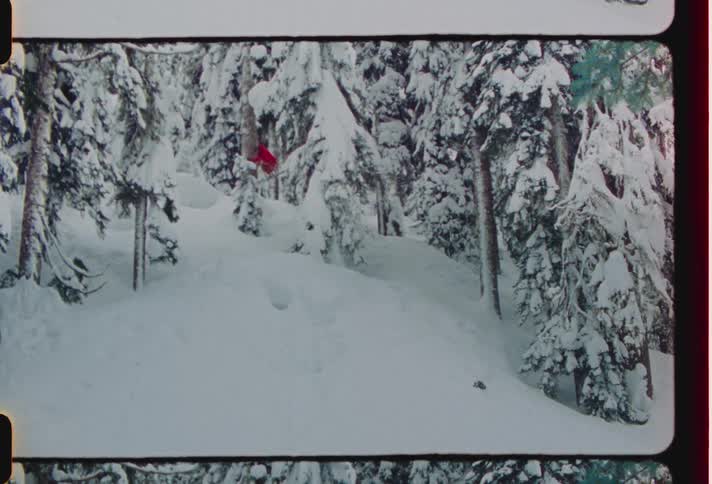 Skier rotates in mid air during jump between conifer trees on snow covered slope