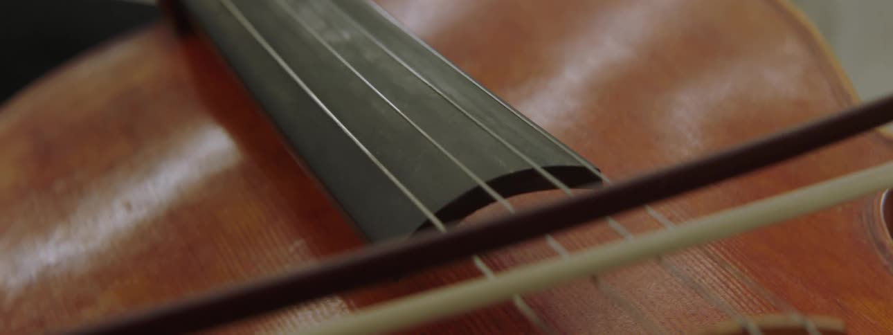 A bow of horsehair passing through the string of an instrument
