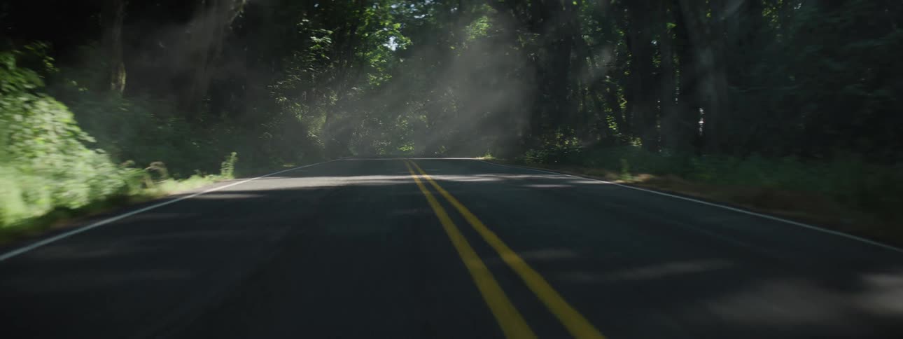 God rays of sunlight on a peaceful smokey forest road