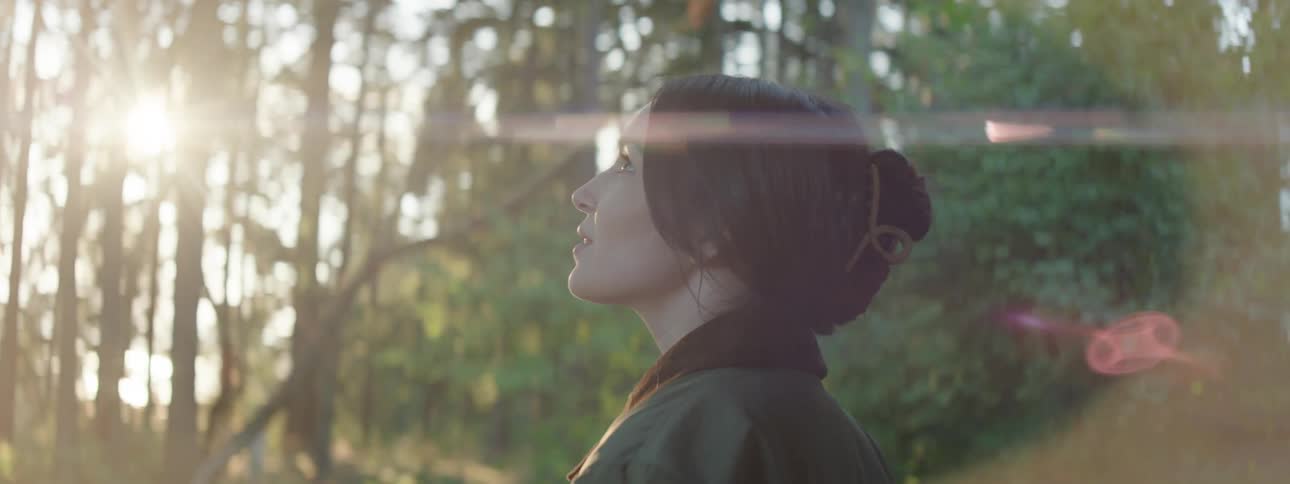 Woman standing in a forest admiring the large trees and beautiful sky