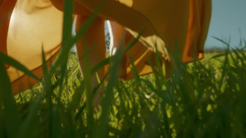 Closeup of a womans feet walking on a lawn
