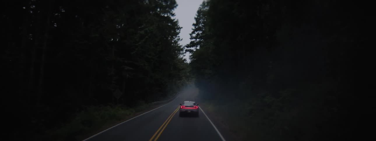 EV Polestar travels on a road through the forest