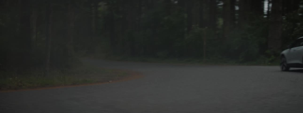 A car drives around the road in the woods