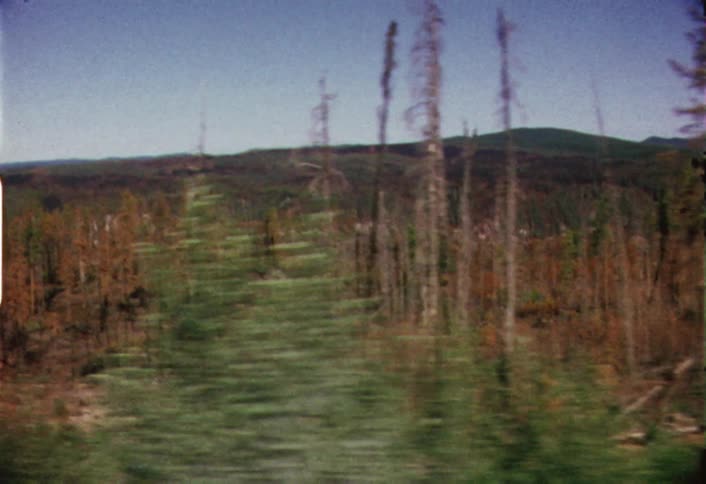 Passing view of trees and a hillside