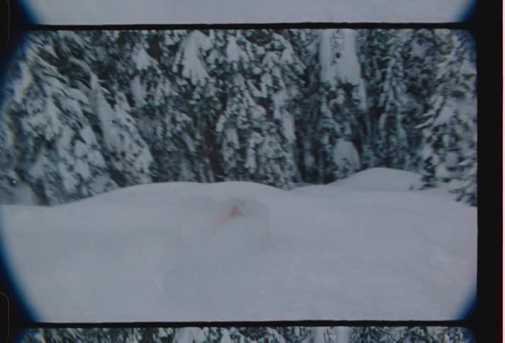 A skier in a bright red outfit jumps over the snow surrounded by pine trees in the mountain