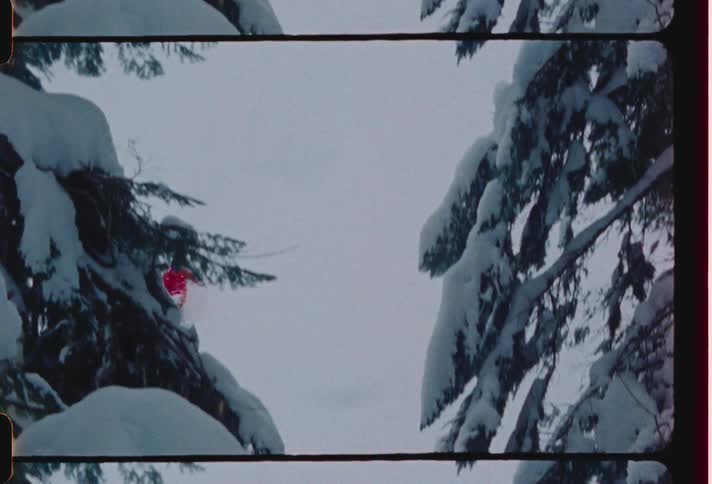 Skier spins in air during jump down snow covered slope between conifer trees