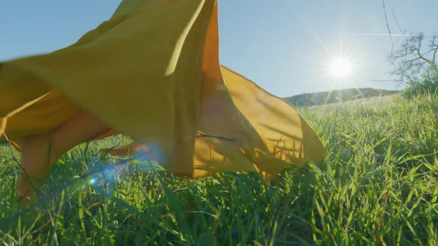 Model walking on a lawn wearing a long yellow dress