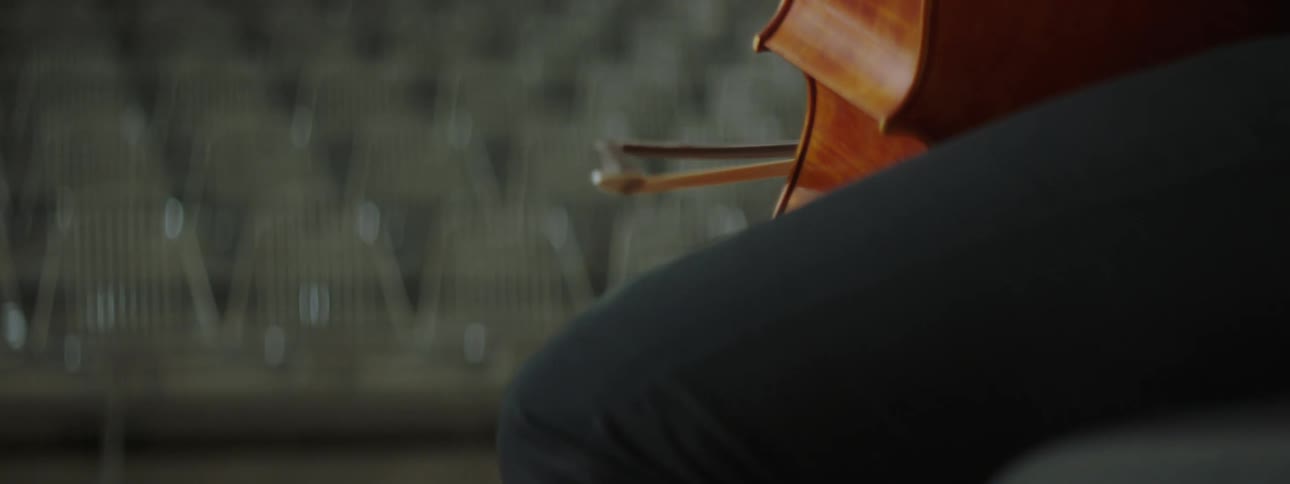 A horsehair bow playing the strings of a cello