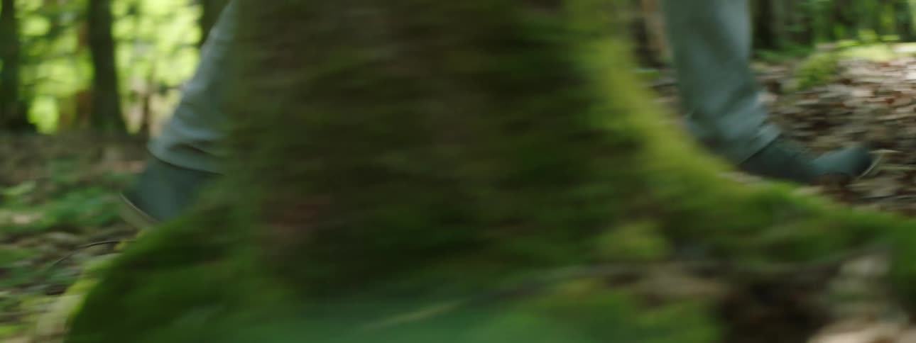 Closeup of a persons legs walking through the forest