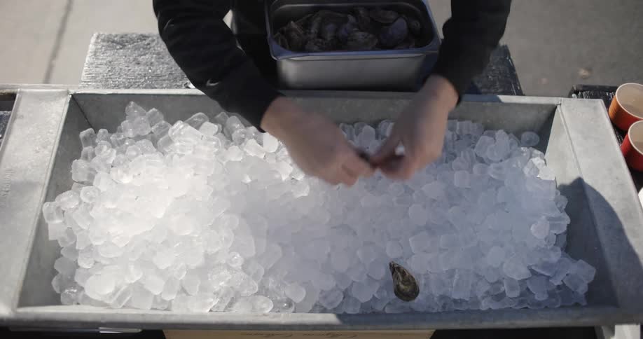 Man placing oysters on ice in a food truck