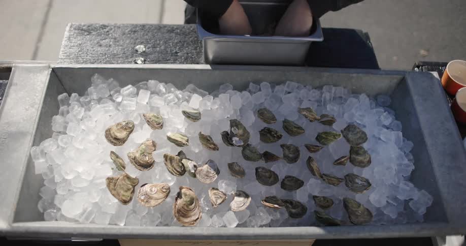 A person is arranging oysters on a tray filled with ice