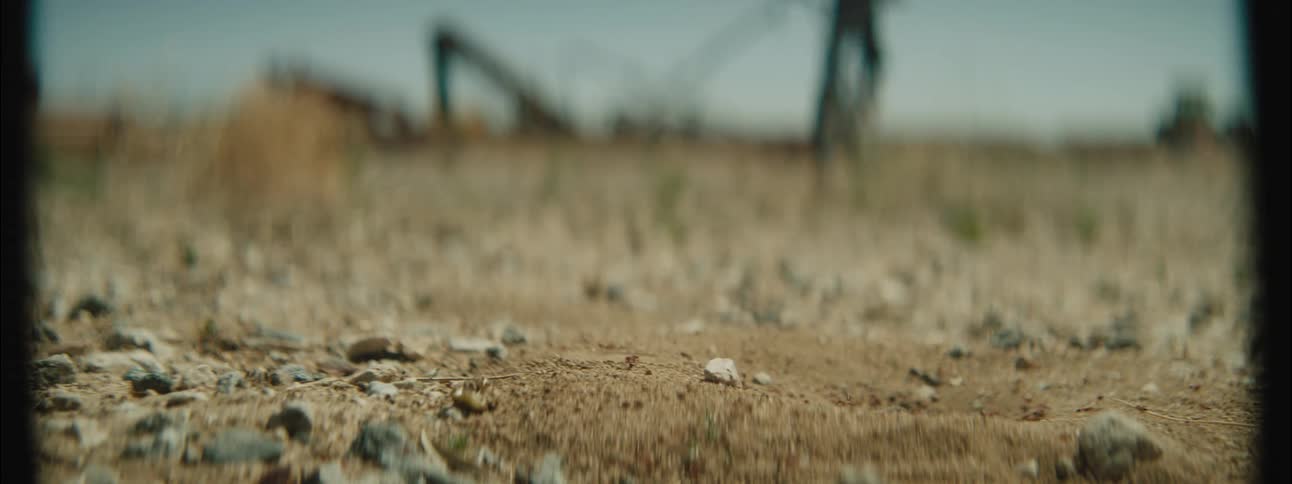 A young male rides his bicycle as a trail of ants crawls over the ground