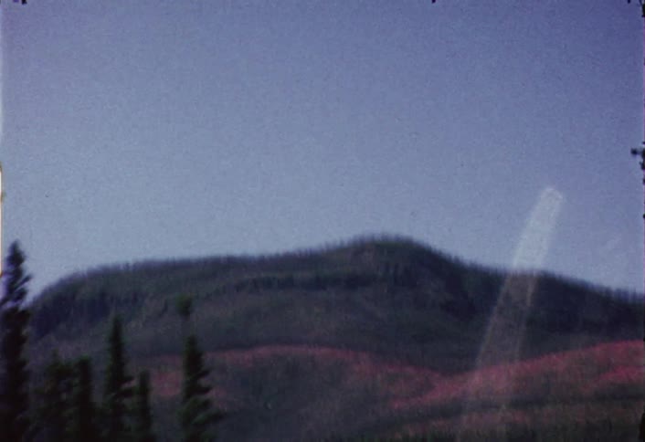 The mountain top if covered with trees and grass