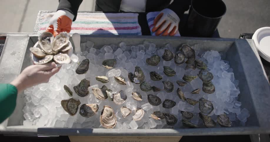 A container with lots of ice and oysters and one person reaches a small bucket with some of them for another person