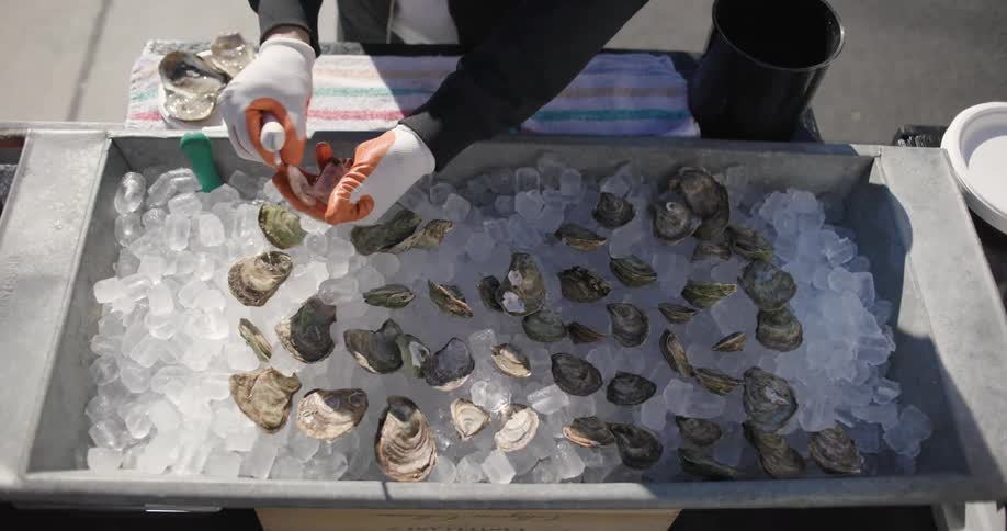 Hands of a person with gloves shucking and gratining oysters