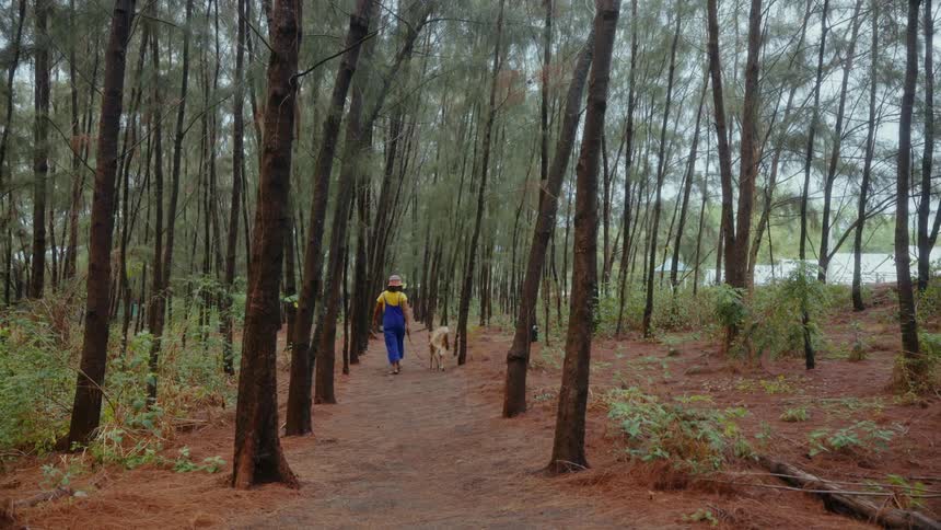 A young Asian woman walks along a trail through a grove of trees with her dog