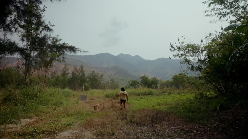 A young Asian woman walking a dog in a forest field