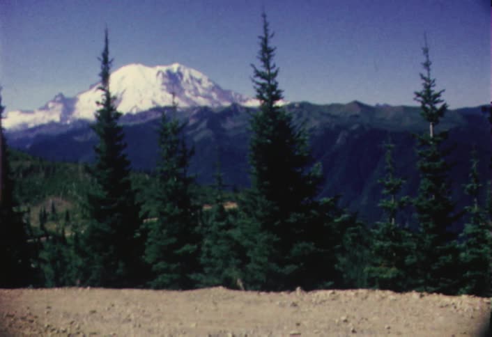 A forest area in front of snow covered mountain
