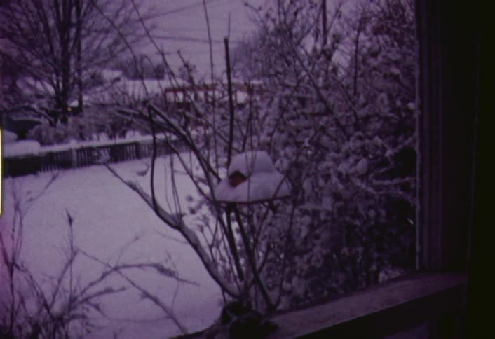 View of a snowy country like area as seen through a window