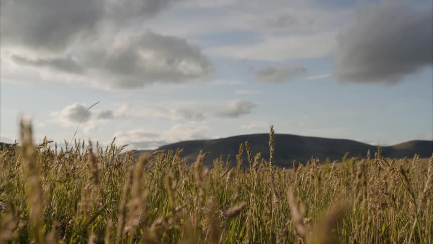 Landscape of an agricultural field with mountain ranges on the horizon