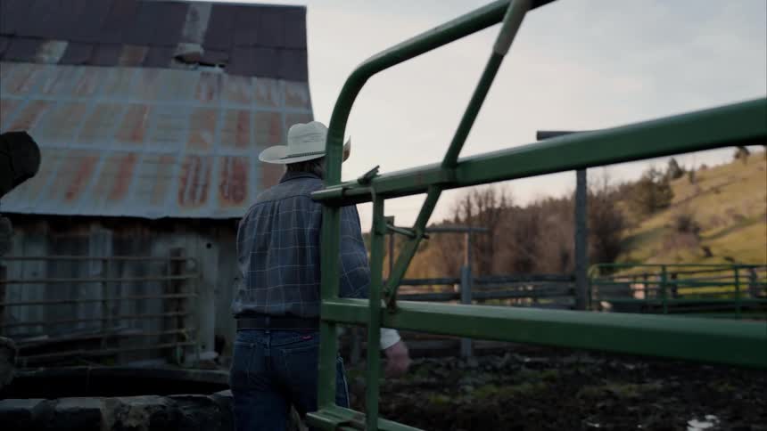 A farmer walking towards a herd on a farm