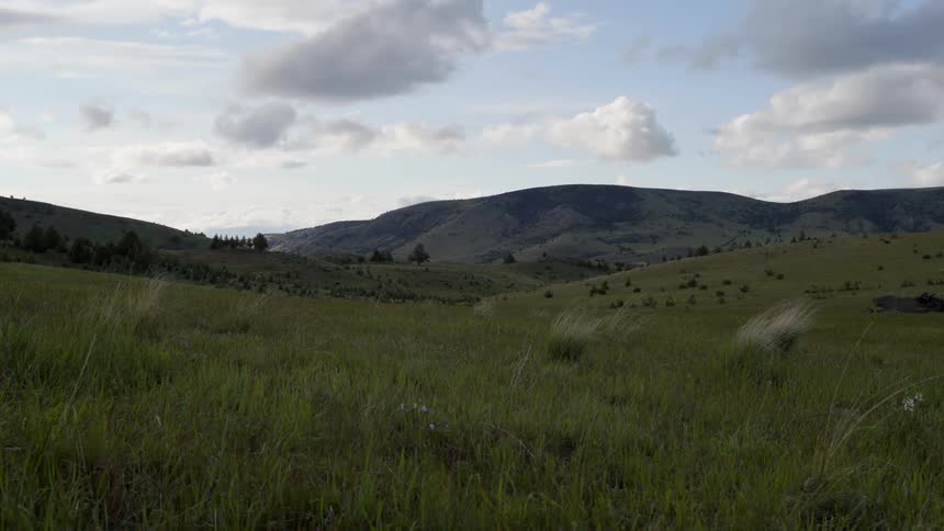 Grasslands give way to sporadic trees in front of a mountain range