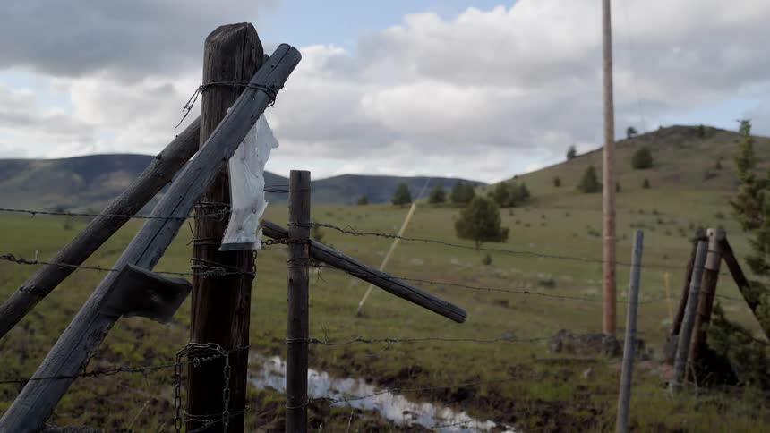 A grassy plain behind a barbed wire fence