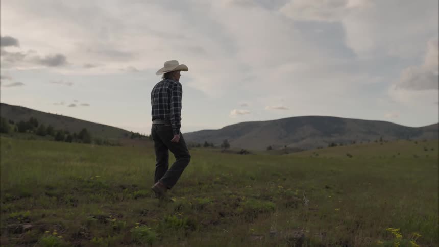 A man is walking on the field