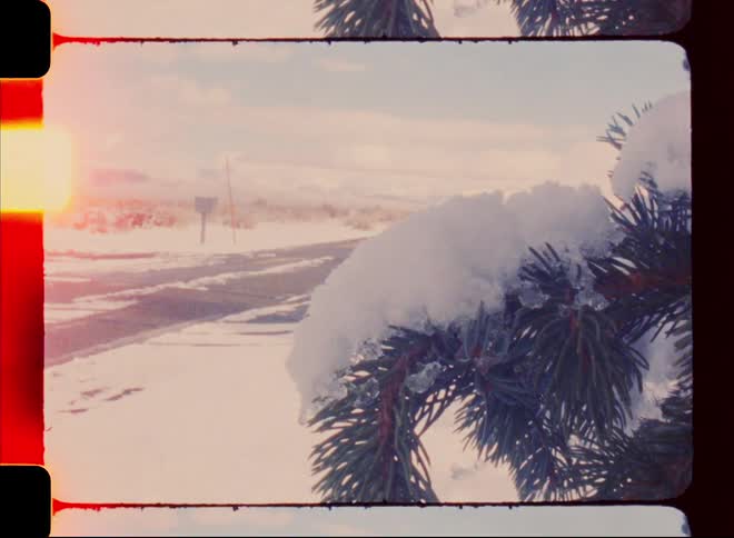 View of a street and a branch of a conifer covered in snow during the day