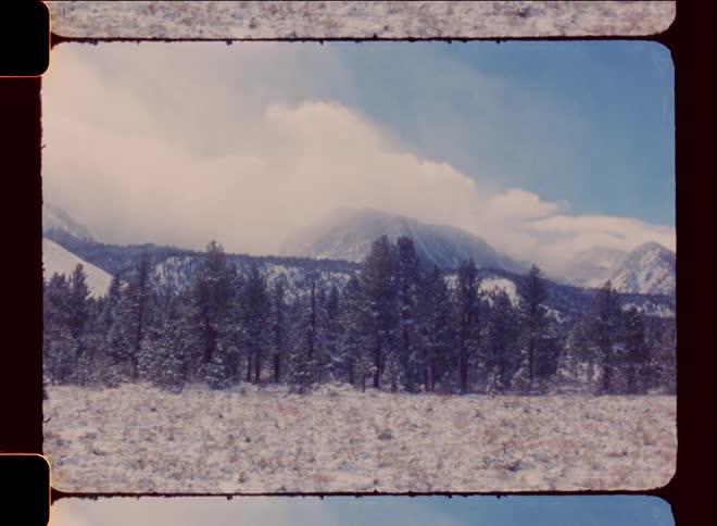 The mountain and forest is covered with snow