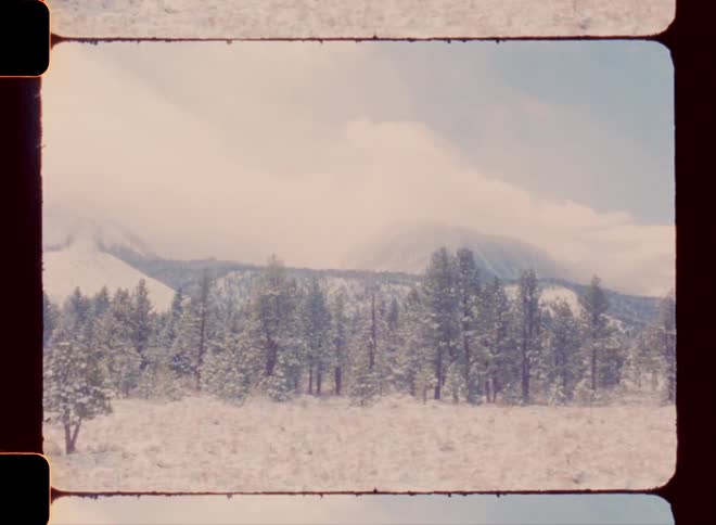 Coniferous landscape and surrounding mountain ranges covered by snow