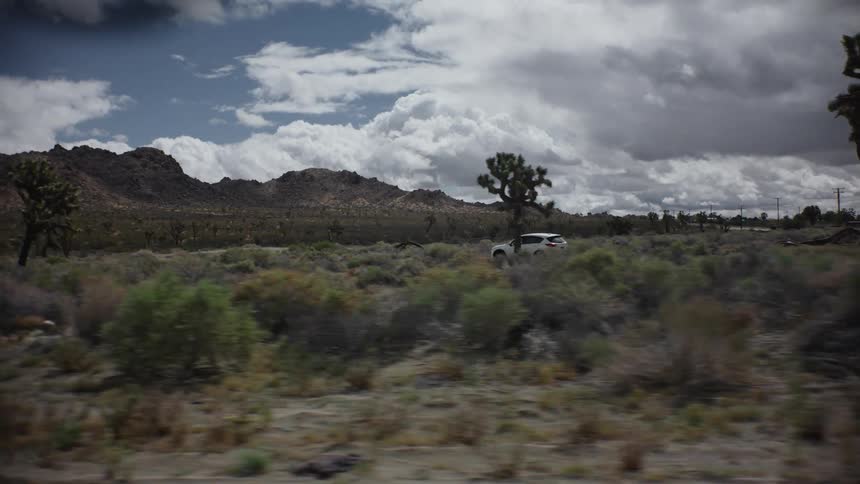 White car in motion along a road in the middle of desert vegetation
