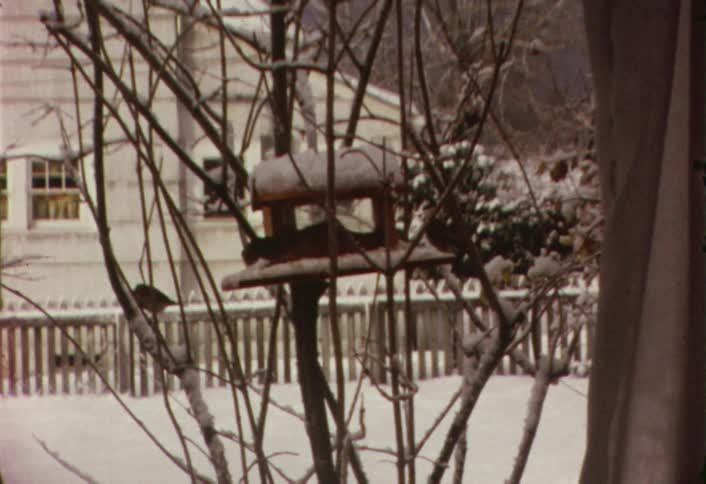 Birds enjoying a birdhouse on a  snowy winter day