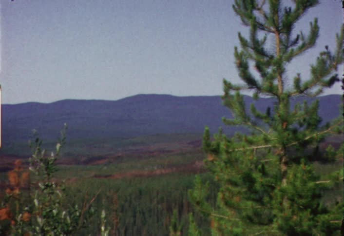 Panning view of some mountains with some trees in the foreground