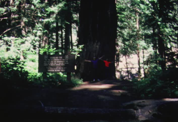 A boy runs into the woods and turns in front of a tree