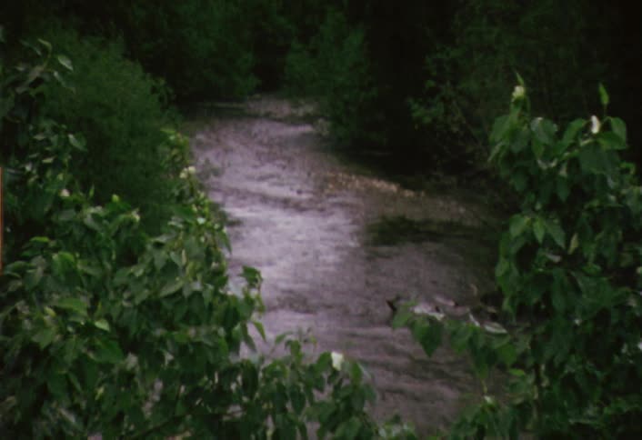 The stream below  small and surrounded by trees