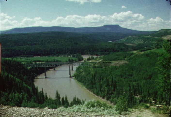 Bridge crossing a river in a forest area