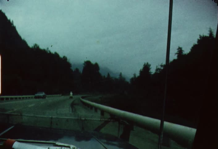 Driving down a street near the forest