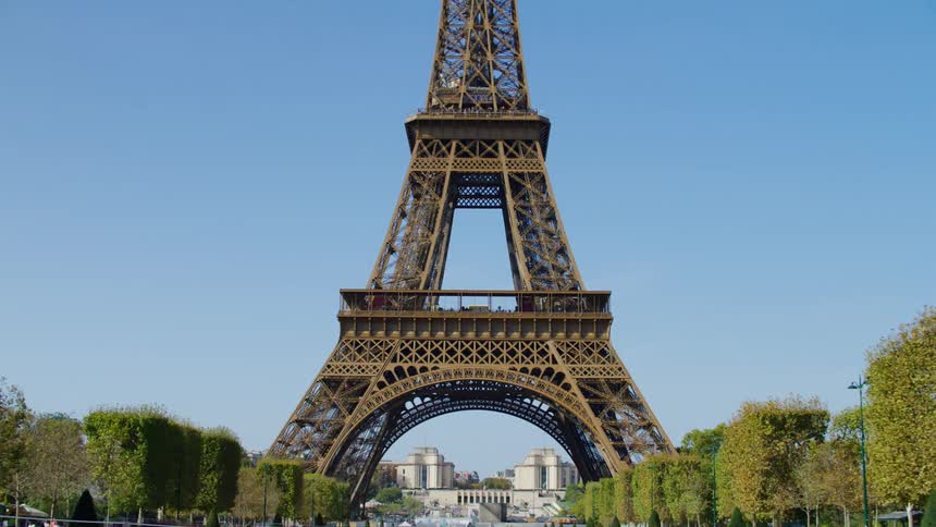 The eiffel tower surrounded by shrubs